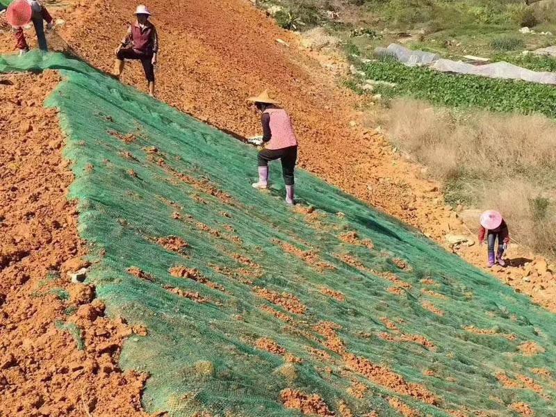 三維植被網