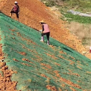 三維植被網