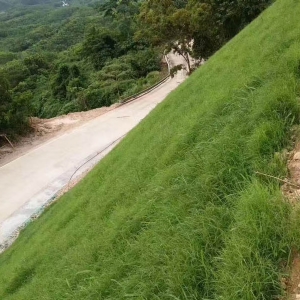 三維植被網